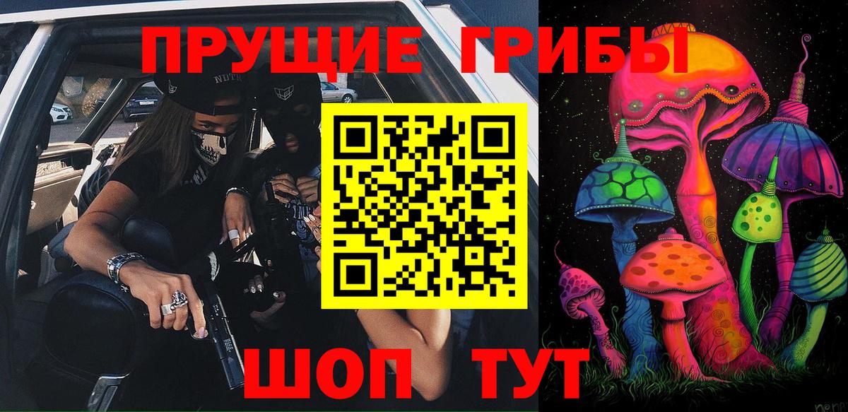 Галлюциногенные грибы Psilocybe Горячий Ключ