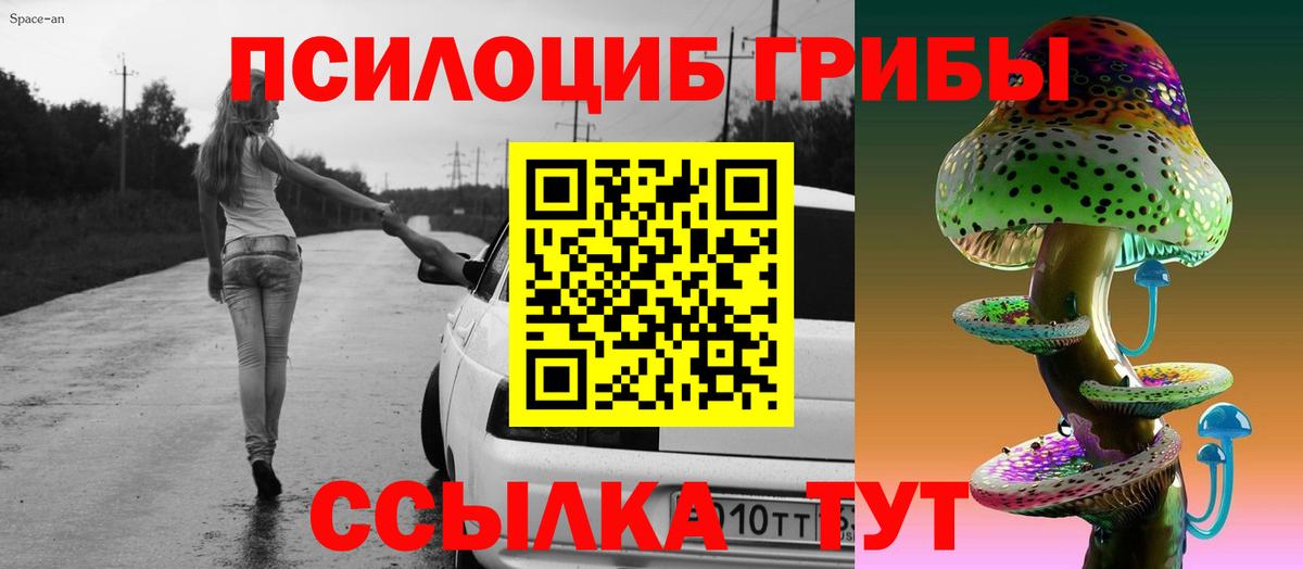 купить   Вход с VPN  Горячий Ключ  Псилоцибиновые грибы мухоморы 